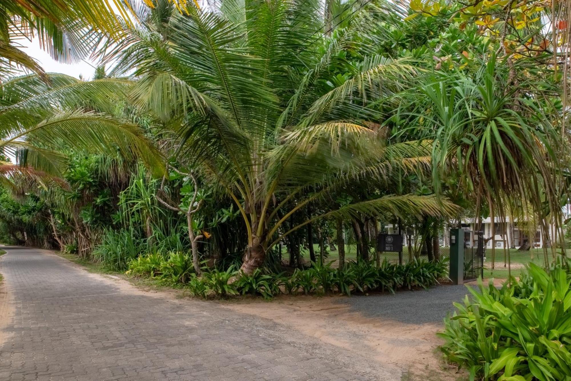 Bentota No 1 Villa Luaran gambar